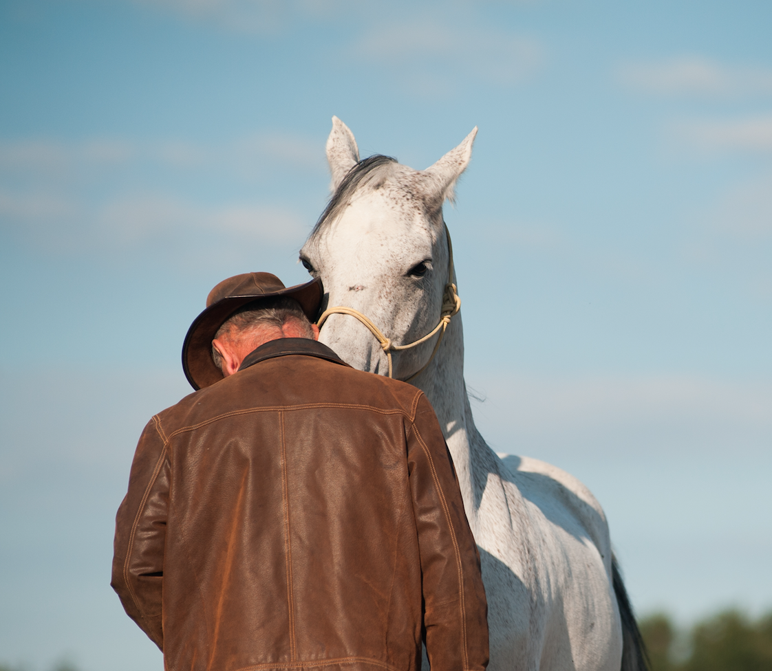 Fête du cheval